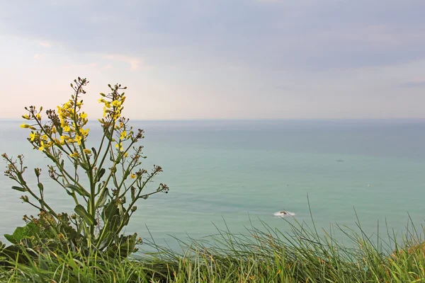 Etretat, Normandy, France — Stock Photo, Image