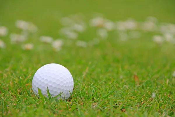 Golf ball op cursus — Stockfoto