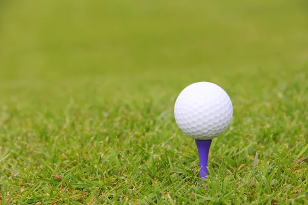 Pelota de golf en T —  Fotos de Stock