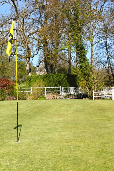 Flag on the golf field Stock Image