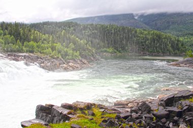 Yeşil ormanda şelale