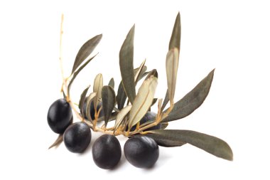 Dalda siyah zeytin 