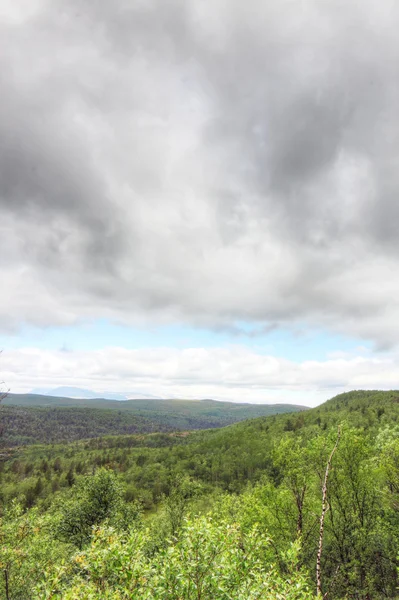 Landschap met bos — Stockfoto