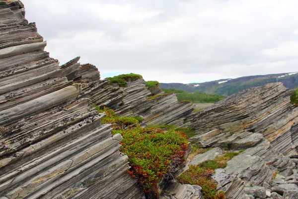 Strati rocciosi geologici — Foto Stock