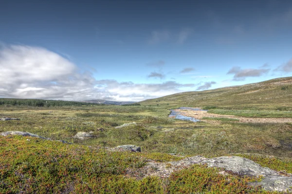 Tundra paisaje —  Fotos de Stock