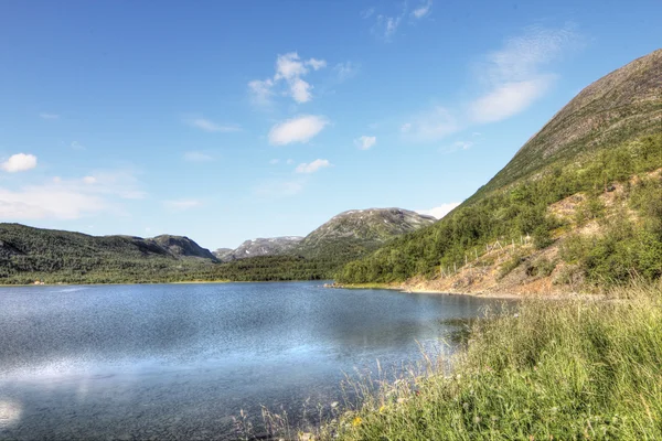 Norveç peyzaj — Stok fotoğraf