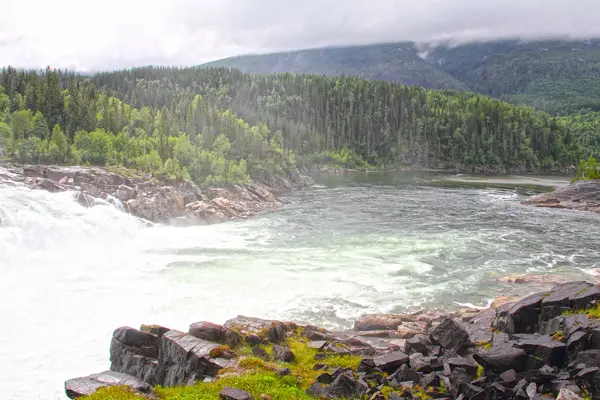 Vattenfall i grön skog — Stockfoto