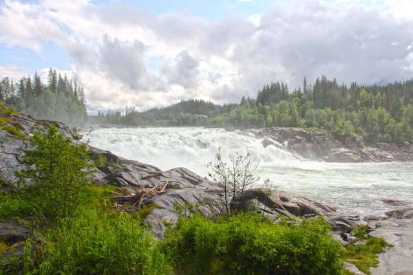 Cascada en bosque verde — Foto de Stock