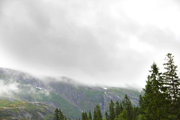 Foggy berg i Norge — Stockfoto