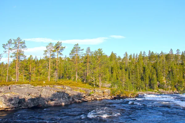 Wild glacier river — Stock Photo, Image