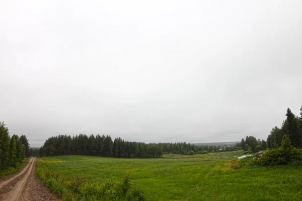 Sommarlandskap med gröna fält — Stockfoto
