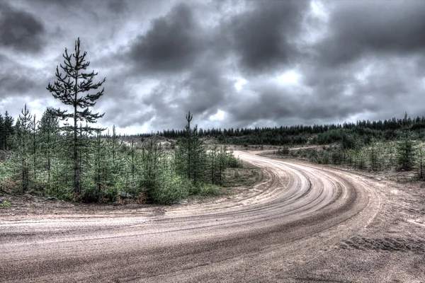 Paysage d'été avec des champs verts — Photo