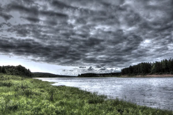 Forêt pittoresque et rivière — Photo