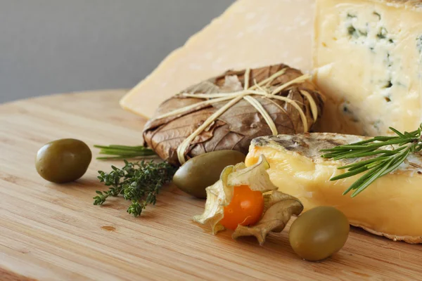 Käse und Oliven Zusammensetzung — Stockfoto