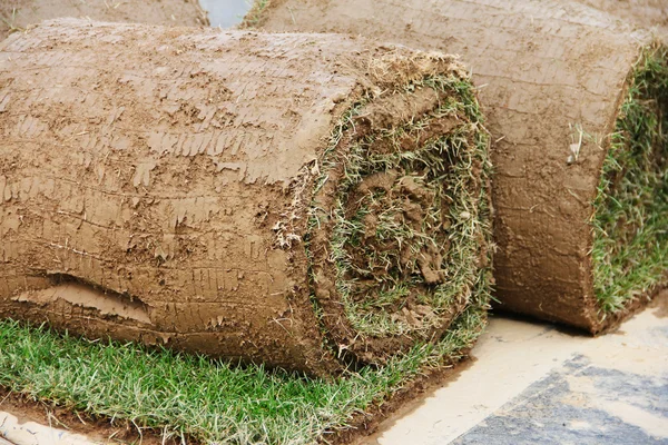 Turf grass rolls — Stock Photo, Image