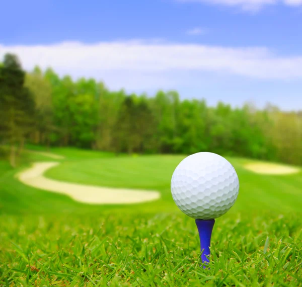 Golflabda a tanfolyam — Stock Fotó