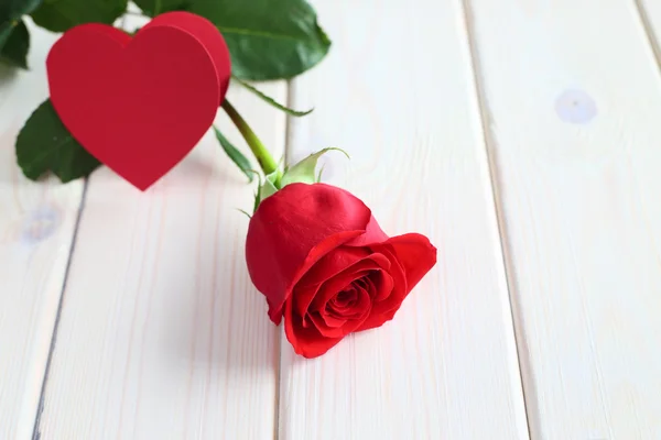 Κόκκινο τριαντάφυλλο και χαρτί καρδιά — Φωτογραφία Αρχείου