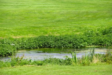 Creek golf sahası üzerinde