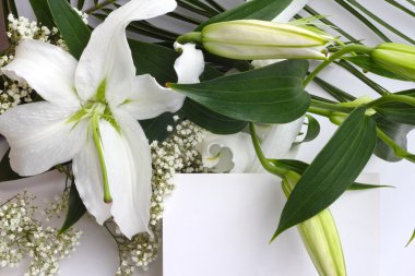 Beyaz Zambak çiçekler ve posta kartı