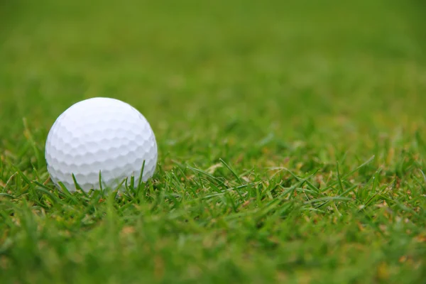 Pelota de golf en curso — Foto de Stock