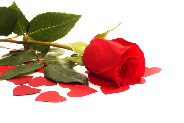 Τριαντάφυλλο και καρδιές — Φωτογραφία Αρχείου