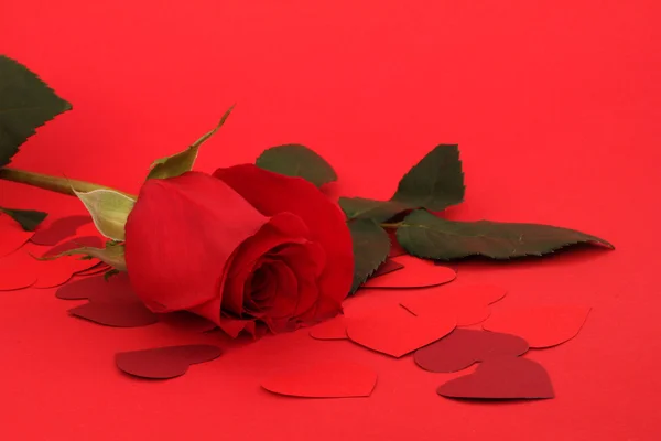 Rosa e corações — Fotografia de Stock