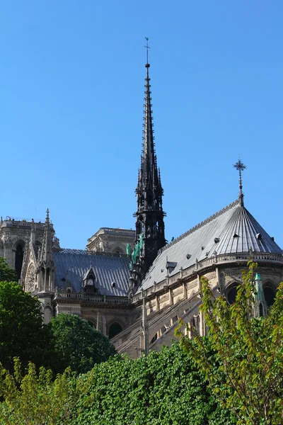 Katedral notre dame de paris Stockbild