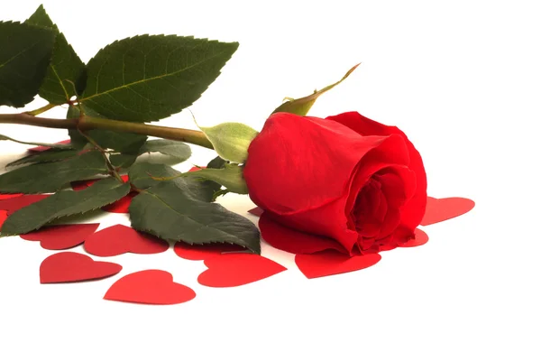 Rose and hearts — Stock Photo, Image