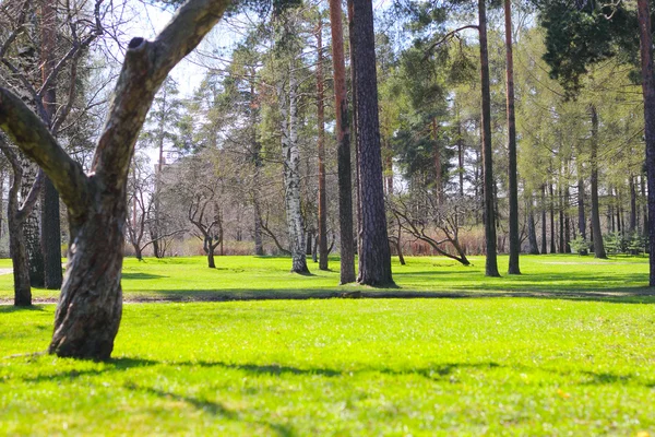 Park zdrojowy — Zdjęcie stockowe