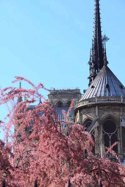 Katedra notre dame de paris — Zdjęcie stockowe