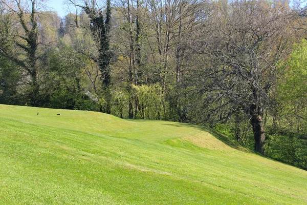 Prachtige lente landschap — Stockfoto