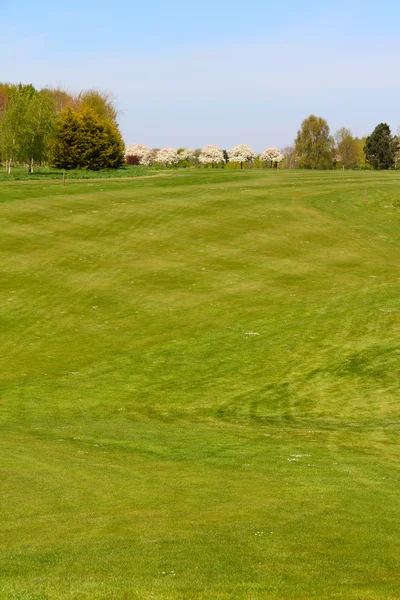 Appelbomen op golfbaan — Stockfoto