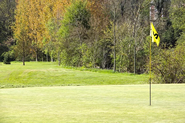 Bandera de golf en el campo — Foto de Stock