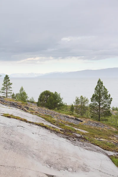 Norveç park — Stok fotoğraf