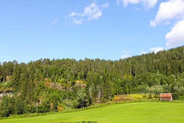 Landskap och gamla hus — Stockfoto