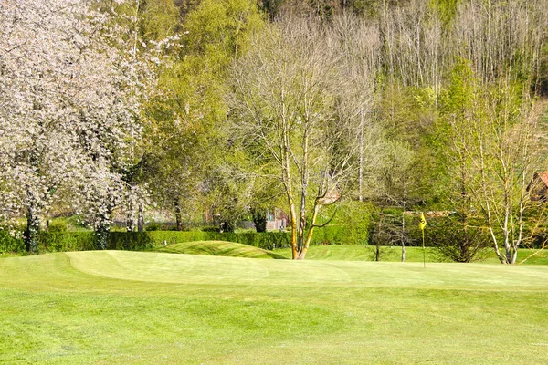 Beautiful spring landscape — Stock Photo, Image