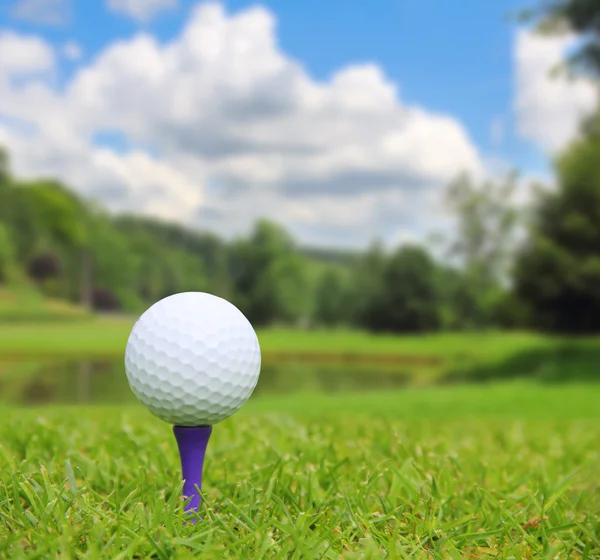 Bola de golfe no campo — Fotografia de Stock