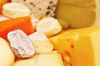 çeşitli peynir türleri