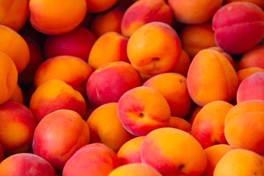 Kayısı bir pazarda