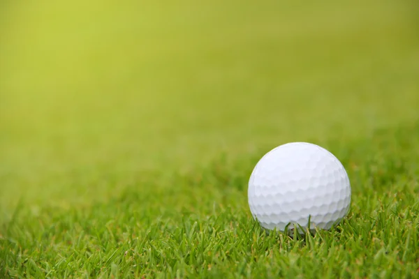 Golfball auf dem Platz — Stockfoto