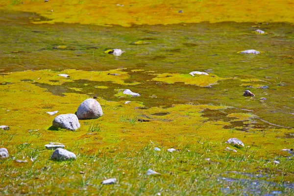 Poco profundo del río glacial —  Fotos de Stock