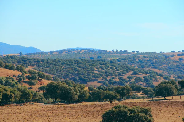 Paisagem espanhola — Fotografia de Stock