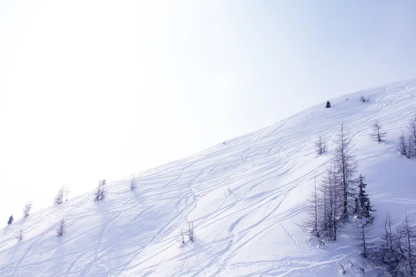 Helling met ski sporen — Stockfoto