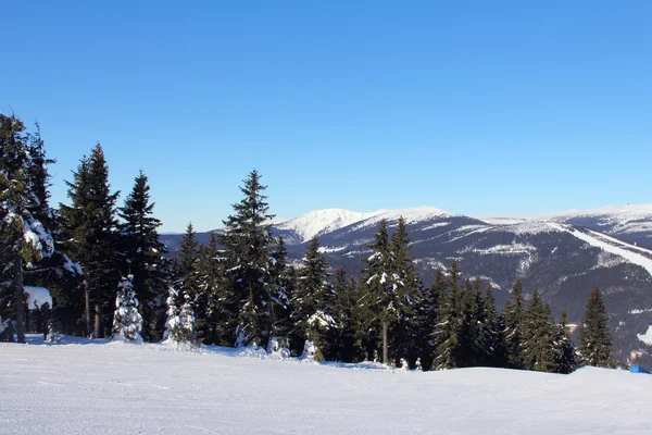 Hoppa kickers i snow park på bergen i Spindleruv Mlyn, bergsområdet, Tjeckien — Stockfoto