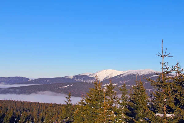 Vinterbergslandskap — Stockfoto