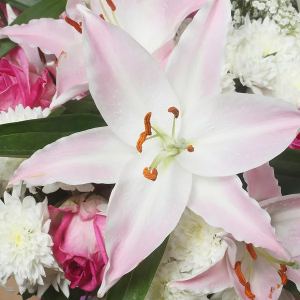 Bouquet of flowers — Stock Photo, Image