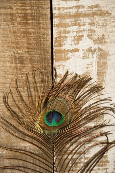 Peacock feather on wood — Stock Photo, Image