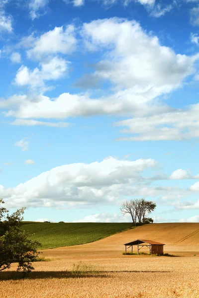 Petit hangar dans un champ — Photo