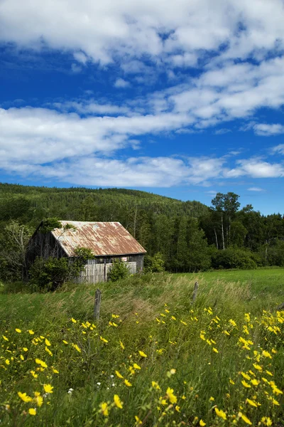 Litet skjul i en äng — Stockfoto