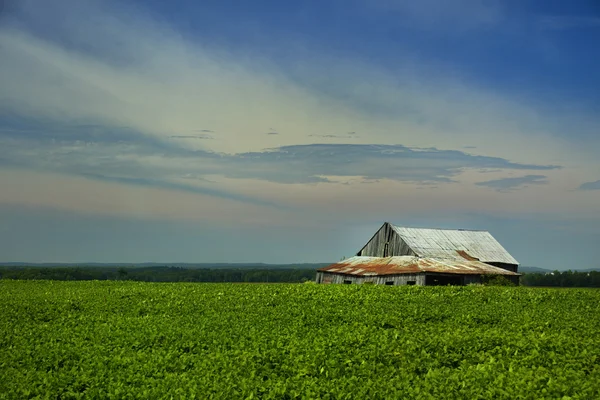 Petite grange dans un champ — Photo